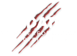 Predator Bikes